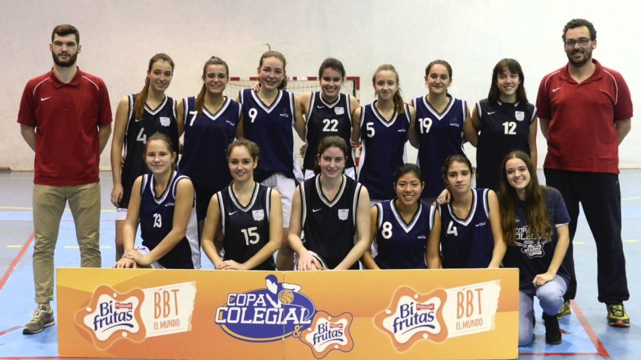 Maristes Sants -Corazonistas