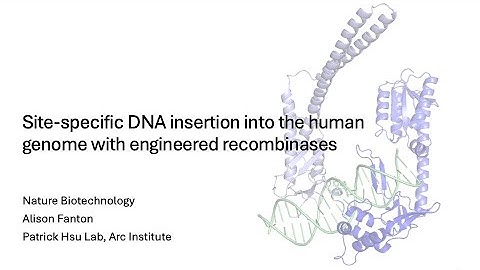 Site-specific DNA insertion into the human genome with engineered recombinases