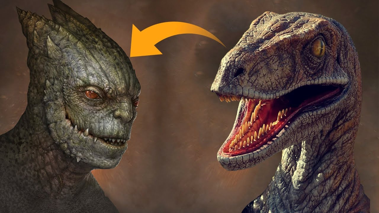 Los dinosaurios evolucionaron en ésto - YouTube