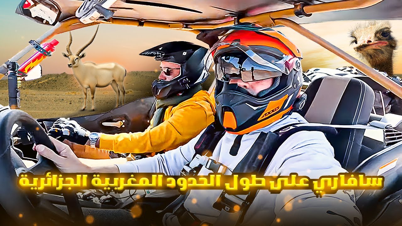 سافاري على طول الحدود المغربية الجزائرية Safari along side the Moroccan Algerian border #morocco 🦌 o