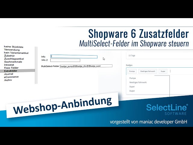 Shopware 6 MultiSelect-Zusatzfelder aus SelectLine Freitext- und Extrafeldern befüllen