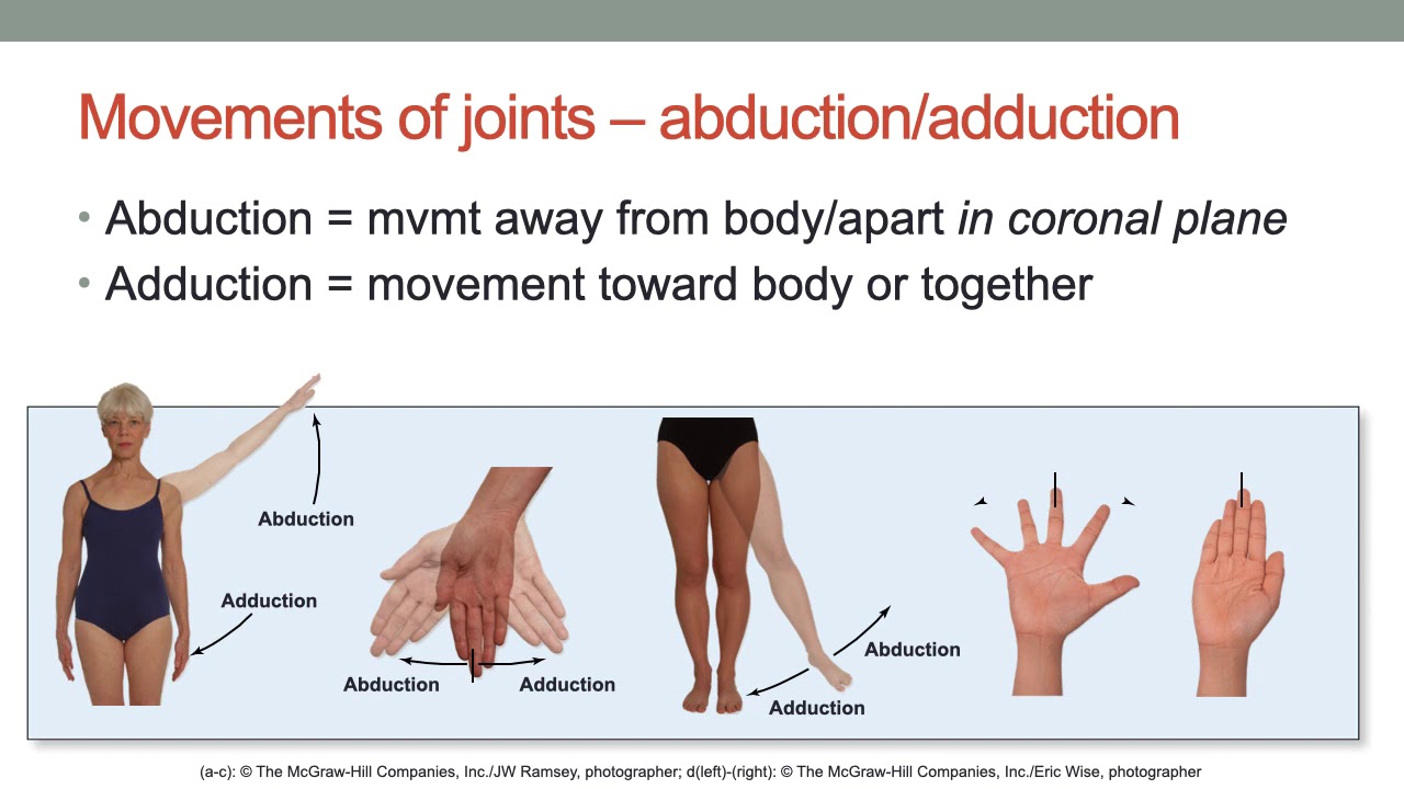 Joining all Movements. Neutral Control in Movement at Joints. Joining all Movements Jam.