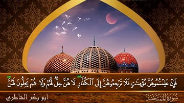 سورة الممتحنة - جودة عالية - القاري الشيخ  ابو بكر الشاطري