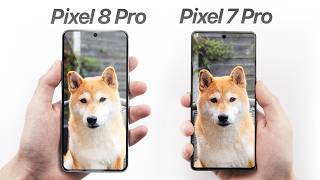 Pixel 8 Pro vs Pixel 7 Pro Camera - An Actual DOWNGRADE?