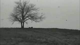 Nurullah Genç - uzak dur (Kendi Sesinden)