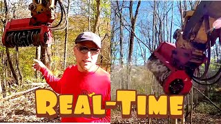 Excavator Forestry Mulching Attachment-FECON FMX36 REAL-TIME Operation | DigginLife21