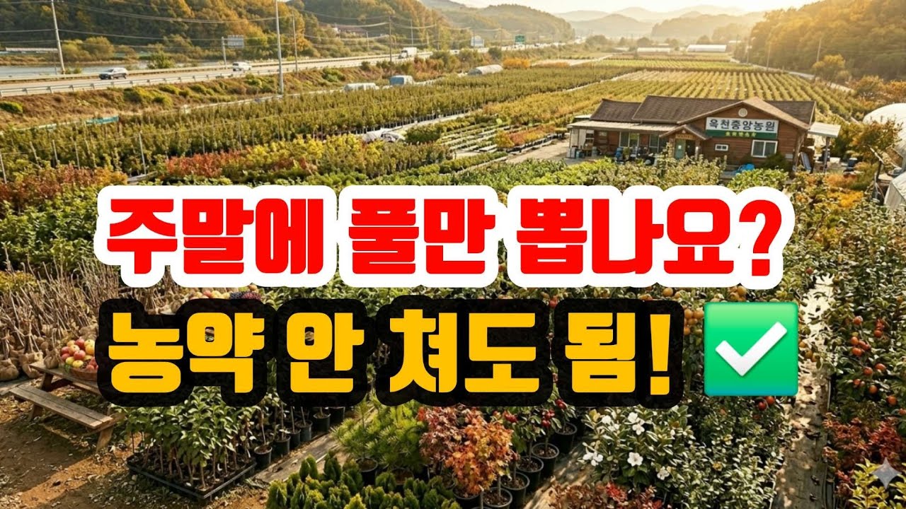 농약? 안 칩니다! 게으른 농부도 성공하는 황금 묘목 3가지​? #옥천묘목축제 #옥천묘목시장 #사과묘목 #묘목시장 #옥천묘목축제 
