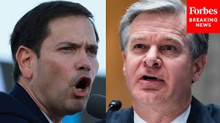Just In Marco Rubio Asks Fbi Director Chris Wray Point Blank If Covid-19 Came From A Lab Leak
