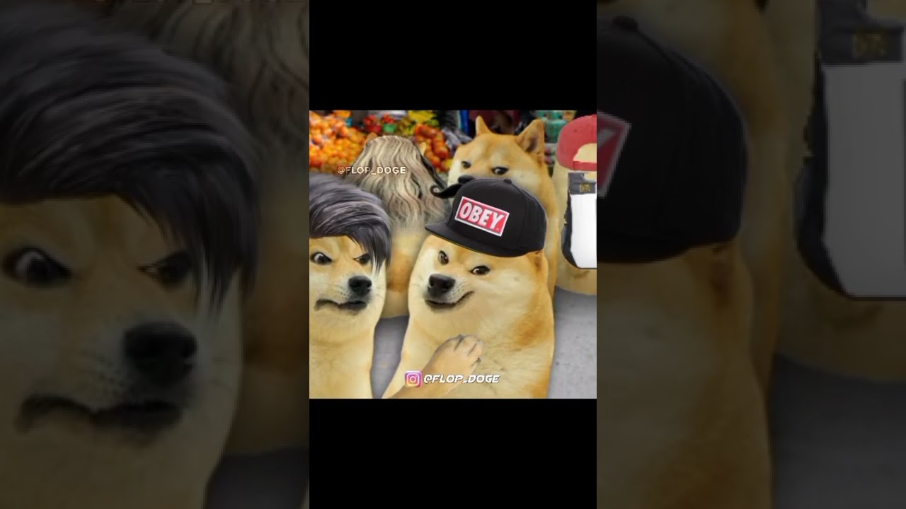 funny doge meme template meme 