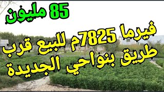 فيرما 7825م للبيع قرب طريق رئيسية بنواحي الجديدة ?