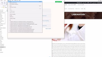 Translate WordPress theme into your local language using PoEdit