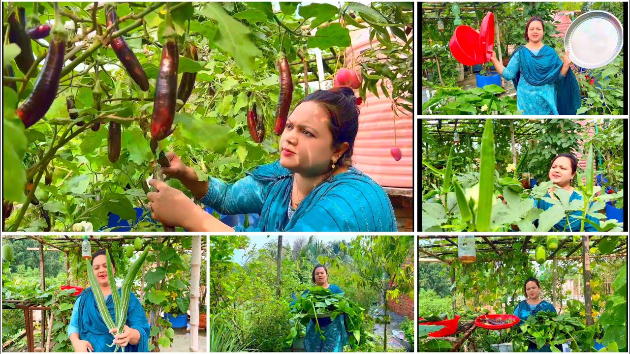 ছাদ বাগানকে ক্ষেত বাগানের মতো করে সাজিয়েছি পুরোটাই সবজিতে ভরপুর /ছাদ কৃষি/Mina Alom Mina vlog 2025