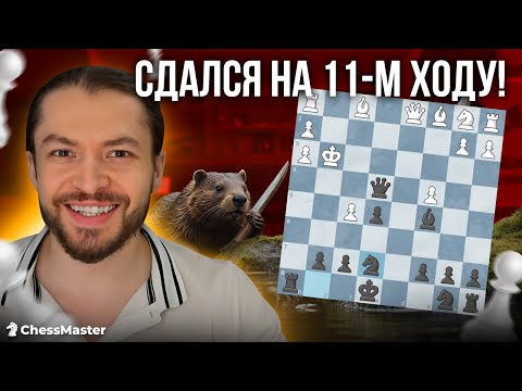 Беспощадный ГРОБ и выигрыш на 11-м ходу!