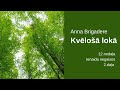 Anna Brigadere — Kvēlošā lokā. 12. nodaļa &quot;Ienaida negaisos&quot;. 2. daļa