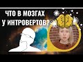 ЧТО В МОЗГАХ У ИНТРОВЕРТОВ И ЧТО С ЭТИМ ДЕЛАТЬ?