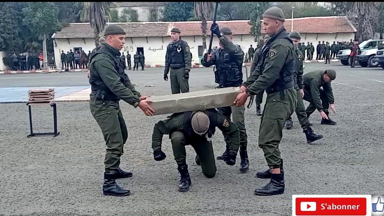 الدرك الوطني استعراض 3 صاعقة  حظيرة الشل بتيزي وزو G.  I. N