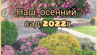 🍁🍂🍃Наш осенний сад.2022г.