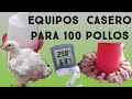 Equipos de galpon para POLLOS DE ENGORDE en casa |NEGOCIO  DESDE CASA|