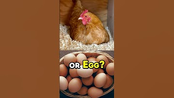 SOLVED: Chicken or Egg? 🫤