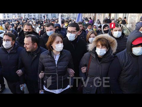 ოპოზიციის საპროტესტო აქცია