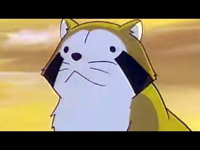The Anime That Caused Japan's Raccoon Infestation - YouTube