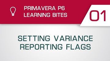Primavera P6 Learning Bite 1 - Setting Variance Reporting Flags (Professional Client)