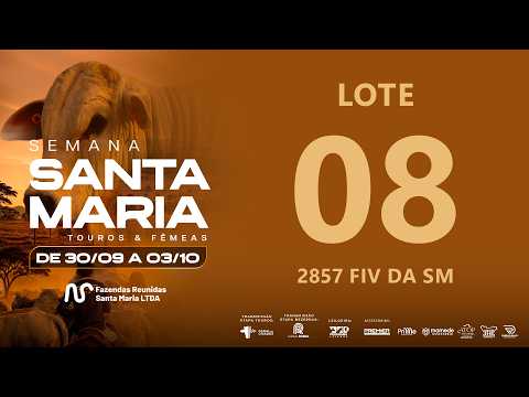 LOTE 08 FSM A2857