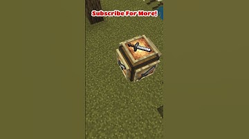 Did You Know Item Frames Can Face Anyway? #shorts