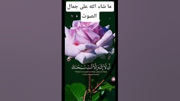 تلاوة جميلة للقارئ اشرف اللحجي حفظه الله لا تحرم نفسك من الاستماع للقرآن