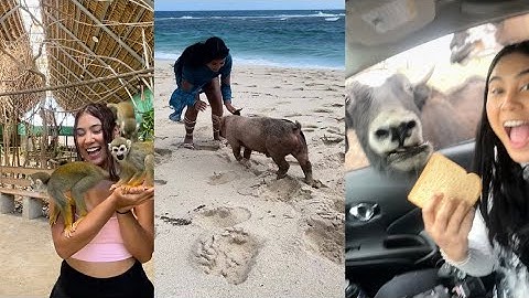 WORLDPACKERS INTRODUCTION VIDEO📸🏝️