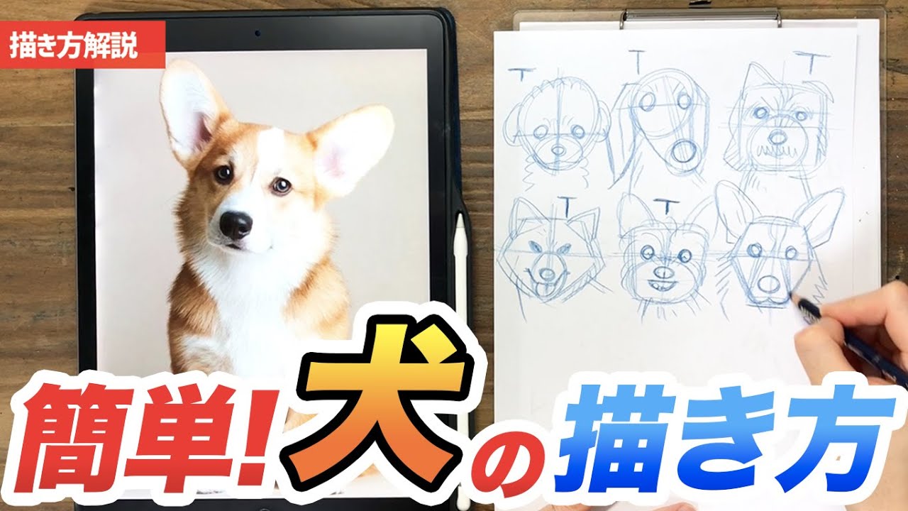 犬の描き方 誰でも描ける 色んな犬種の描き方をレクチャー Youtube