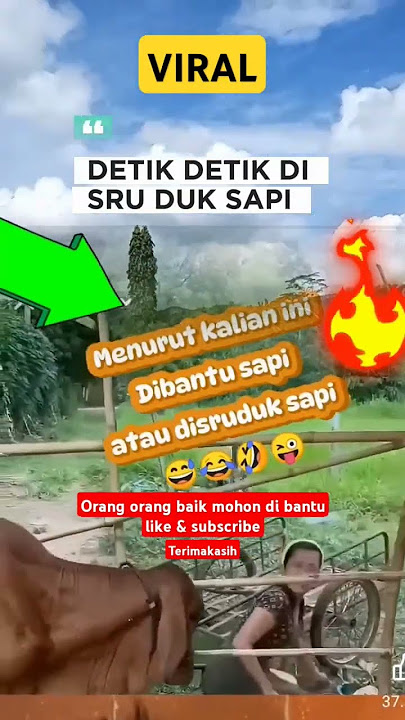 #PANTAT SI CANTIK DI SRUDUK SAPI