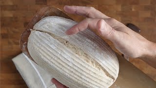 My Worst Mistakes Learning to Bake Sourdough (10+ Year Career) by Culinary Exploration 47,471 views 1 month ago 7 minutes, 38 seconds