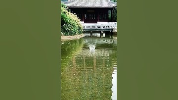 FPV Drone Waterproof Test: Can This Cinewhoop Survive the Splash?