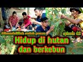 Tidak akan kelaparan hidup di hutan⁉️panen kacang panjang masak dan makan bersama warta petani muda