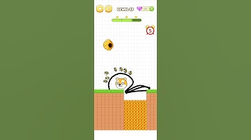 Level,13 save The pet video game #shorts #youtubeshorts #pets