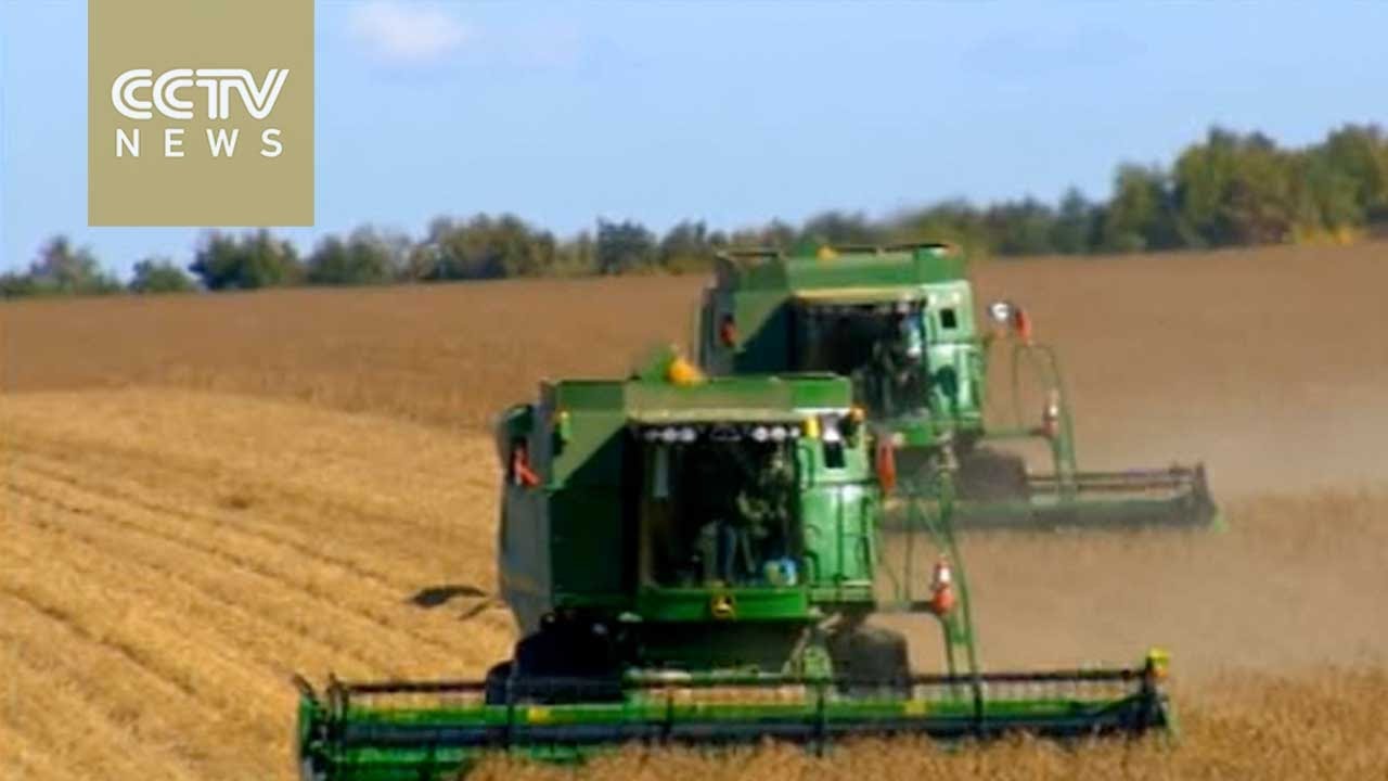 China holds high-level meeting on rural development