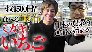1粒1500円？！ＩＴ農業？食べる宝石ミガキイチゴで世界制覇！日本の農業の逆襲が始まる！ ゲスト：岩佐大輝（GRA代表取締役）｜上念司チャンネル ニュースの虎側