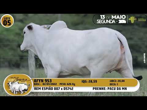 LOTE 05 AFYN 953