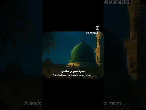 ليتني في سرب الحمام     