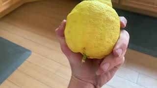 Celebrity Inside Andrew's Life 47: Being an Adult Net Worth