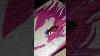 #cockroach dance 🩰