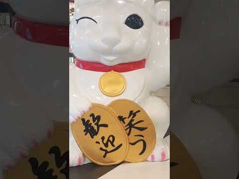 Kung Hei Fat