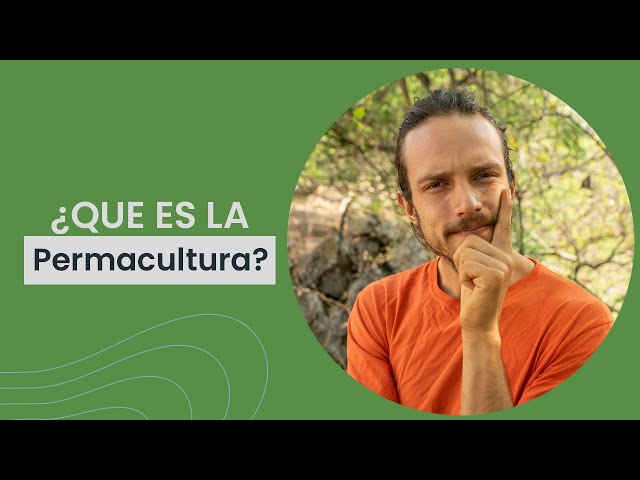 Permacultura ¿Qué es?