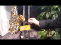 Michael & Hercules DS730B Sax Stand