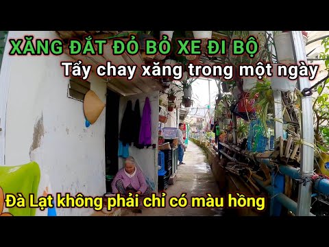 Video Cái gì cũng đắt đỏ bỏ xe đi bộ tẩy chay xăng một ngày... - youtube