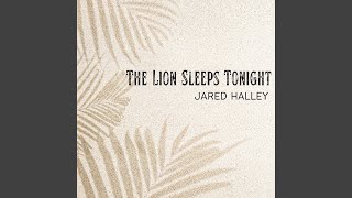 Download Lagu The Lion Sleeps Tonight (Acapella) Download Lagu The Lion Sleeps Tonight (Acapella)