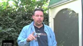 Spider Pavilion With Brent The Bug Guy