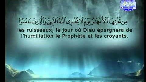 سورة التحريم الشيخ السديس والشريم