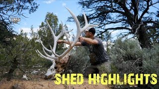 SHED HIGHLIGHTS...TU Tuesday Episode 93 Net Worth